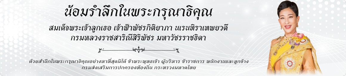 แบนเนอร์ 2